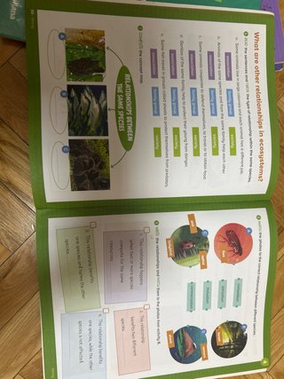 NATURAL SCIENCE 3 PEIMARIA ACTIVITY Y  VISUAL BOOK