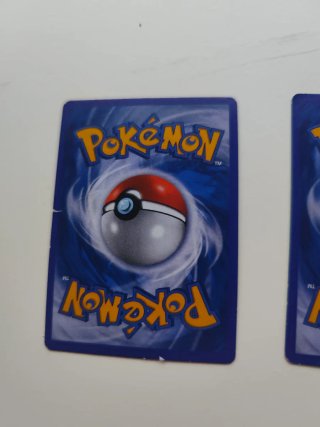 M Charizard EX & M Gyarados EX Cartas Pokémon