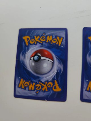 M Charizard EX & M Gyarados EX Cartas Pokémon