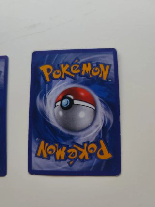 M Charizard EX & M Gyarados EX Cartas Pokémon