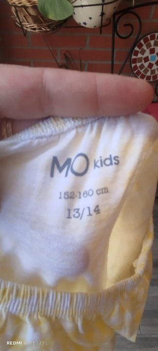 Mono verano casi nuevo