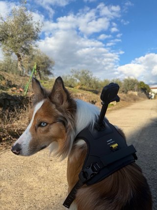 Insta360 Go ultra cámara compacta