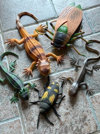 Set di animali preistorici e rettili