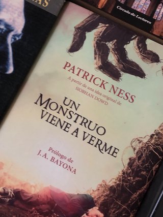 Lote de libros