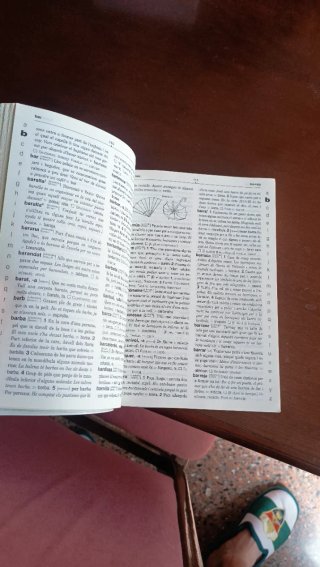 Diccionario español valenciano