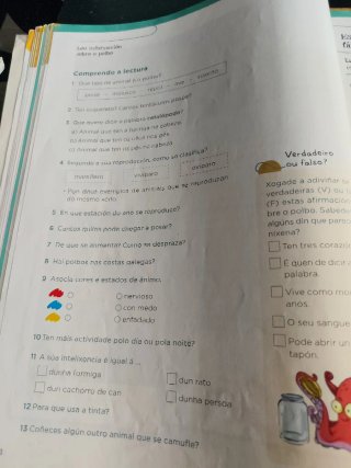 Lingua, 4 Primaria, Operación mundo