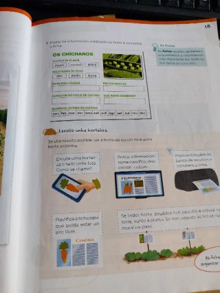 Lingua, 4 Primaria, Operación mundo