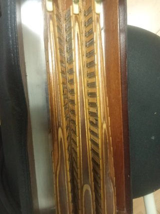 Acordeón Baleani 120 Bajos