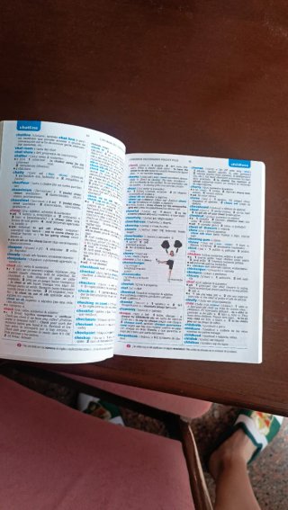 Diccionario español ingles