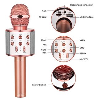 Micrófono Karaoke Dorado y Rosa
