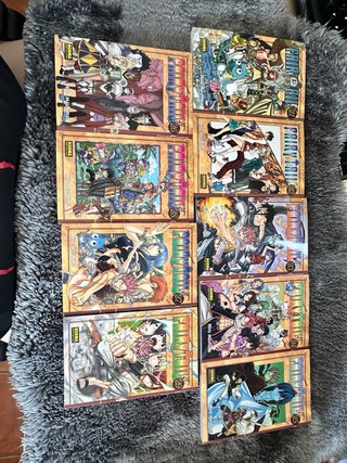 Coleccion Fairy tail 1 - 29