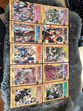 Coleccion Fairy tail 1 - 29