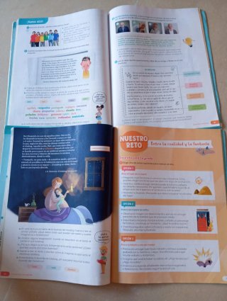 Lengua castellana y literatura. 4 de primaria.