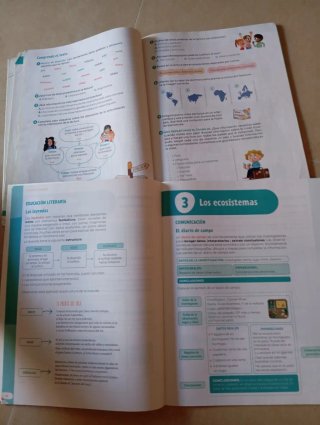 Lengua castellana y literatura. 4 de primaria.