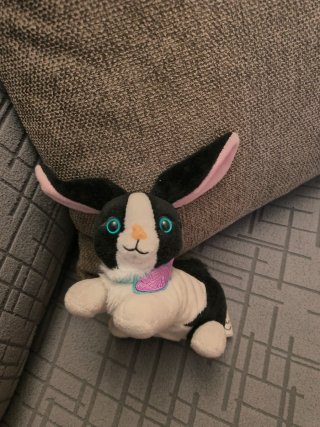 Pack Bebé: Peluche, libro y Molde +regalo sorpresa