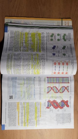 Fundamentos de biología