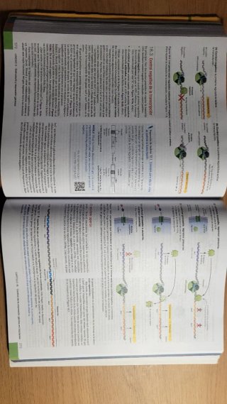 Fundamentos de biología