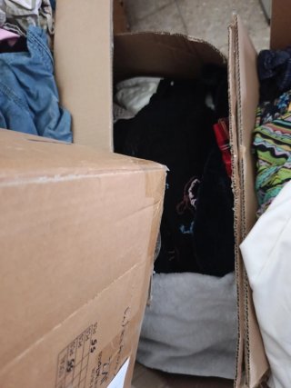 Lote Ropa Variada Talla Única