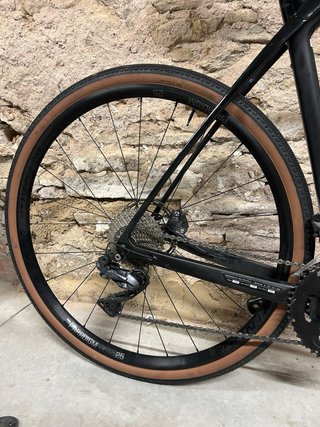E-bike Trek Domane+ T.60
