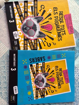 Matemàtiques 3, Segon Cicle Primària, Fanfest
