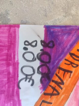 Sodre de cartas de fútbol