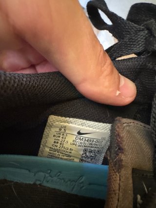 Nike SB