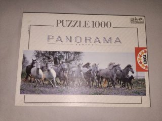 Puzzle 1000 pezzi