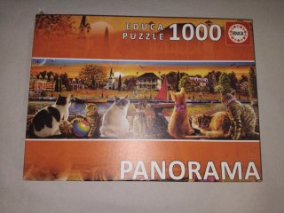Puzzle 1000 pezzi