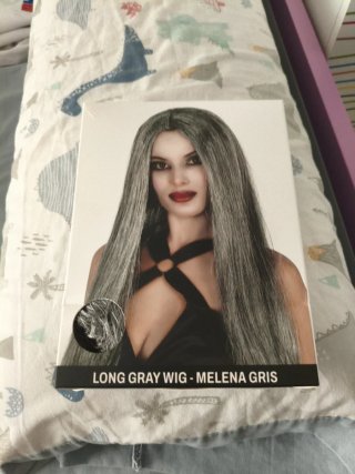 Peluca Larga Gris Adulto