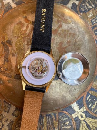 Reloj Quest 17 Jewels morado Dorado