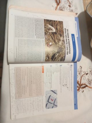 Llengua catalana i literatura, 3 ESO sèrie Comu...