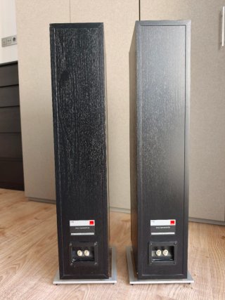 DALI ZENSOR 5 – Pareja de altavoces Hi-Fi de suelo