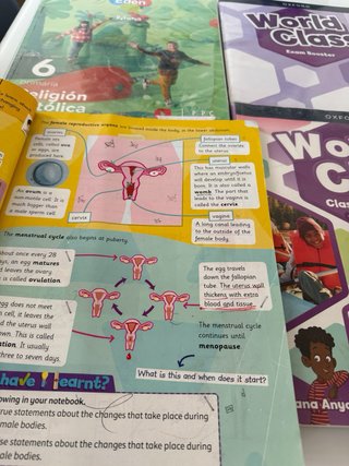 Lote completo de libros de Sexto de Primaria