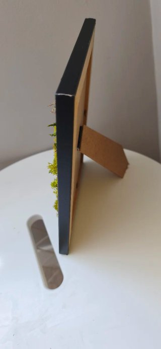 Cuadro de musgo preservado 22x18cm