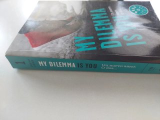 My dilemma is you : un nuevo amor. O dos