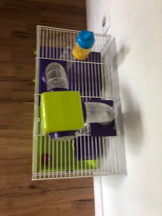 Jaula Hámster Accesorios Incluidos
