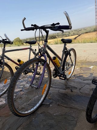 4 Bicicletas de Paseo. 15€ cada una