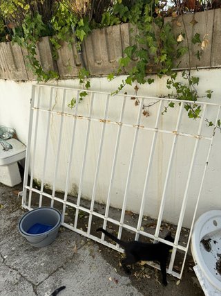 Reja de seguridad hierro para ventana 139*108CM