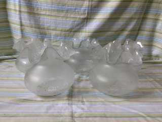 Tulipas de lámpara de cristal (5 unidades)