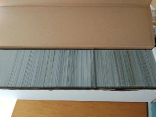 Lote Cartas MTG