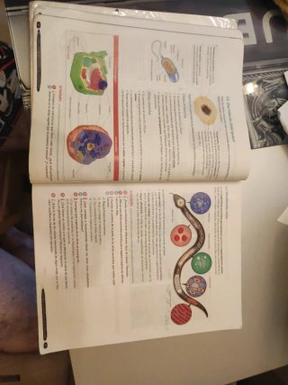 Biología y Geología 1º ESO. Libro del estudiant...