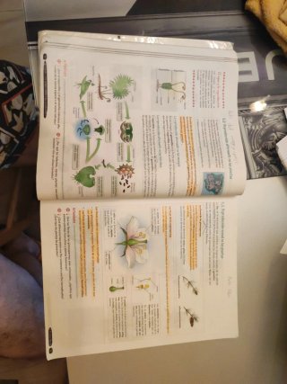 Biología y Geología 1º ESO. Libro del estudiant...