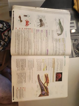 Biología y Geología 1º ESO. Libro del estudiant...