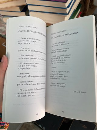Antología poética. Raíz de amor