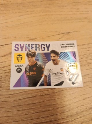 9 Cromo synergy 23-24 Panini