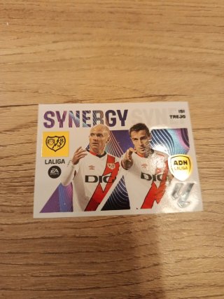 9 Cromo synergy 23-24 Panini