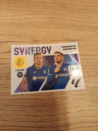 9 Cromo synergy 23-24 Panini