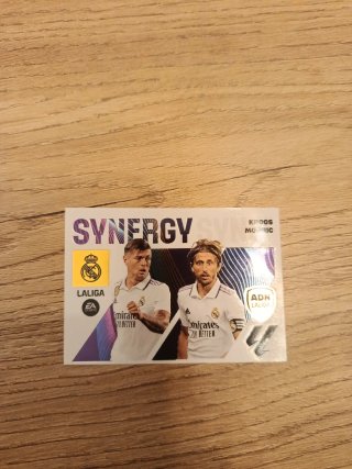 9 Cromo synergy 23-24 Panini