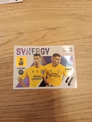 9 Cromo synergy 23-24 Panini