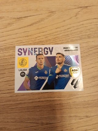 9 Cromo synergy 23-24 Panini
